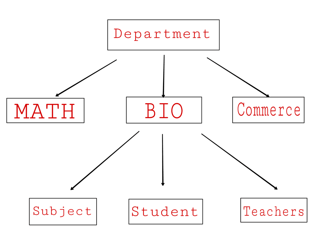 Hierarchical database in hindi