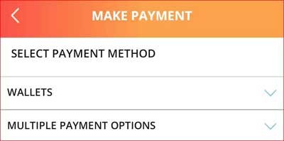 Pay your train ticket bill using various payment methods.