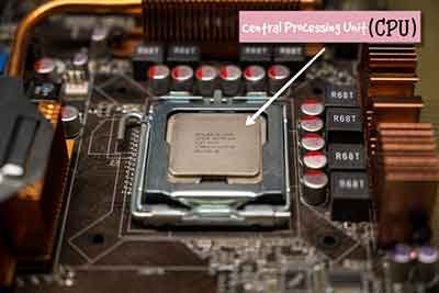 CPU or Processor
