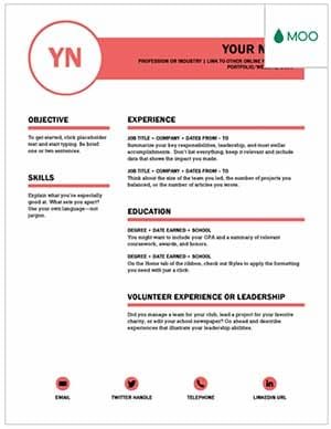 Polished Resume Example