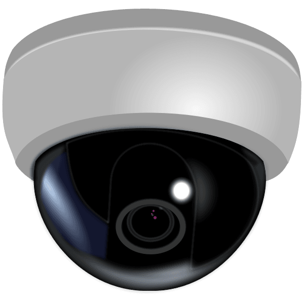 Network Webcam