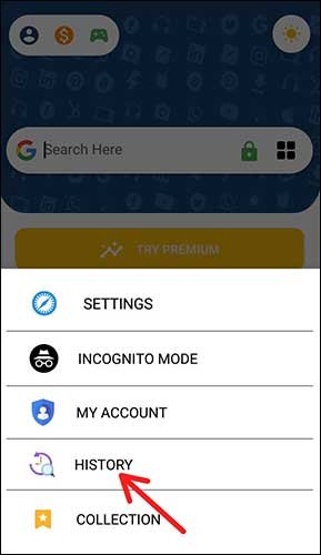 Safari Browser Step3