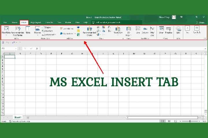 MS Excel Insert Tab in Hindi