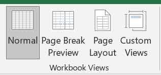 Workbook Views Group MS Excel View Tab in Hindi